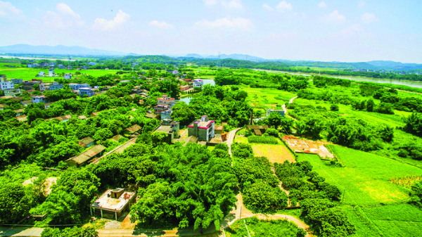     惠城區全力推動高效利用土地工作質量和效能“雙提升”。