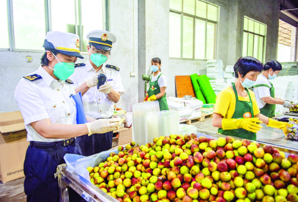     惠州海關關員優(yōu)化進出口貨物監(jiān)管。惠州日報記者劉煒煒 通訊員張仕榮 攝