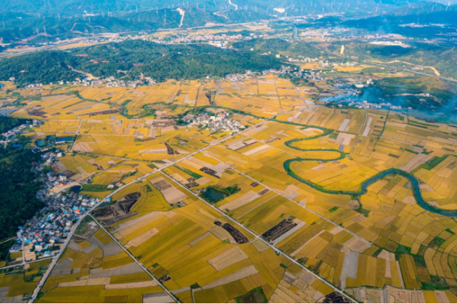 稔山鎮竹園村 稔山鎮竹園村