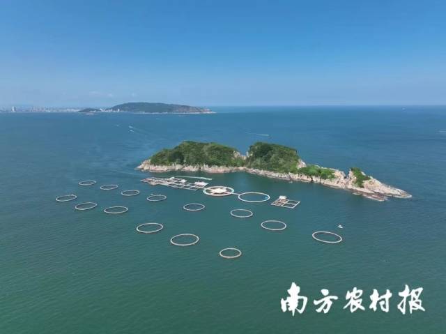 深海網箱養殖 深海網箱養殖