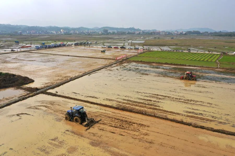 春耕現場。 圖片