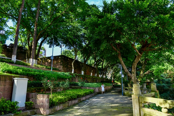 鳳山公園。銅梁區城市管理局供圖 華龍網發