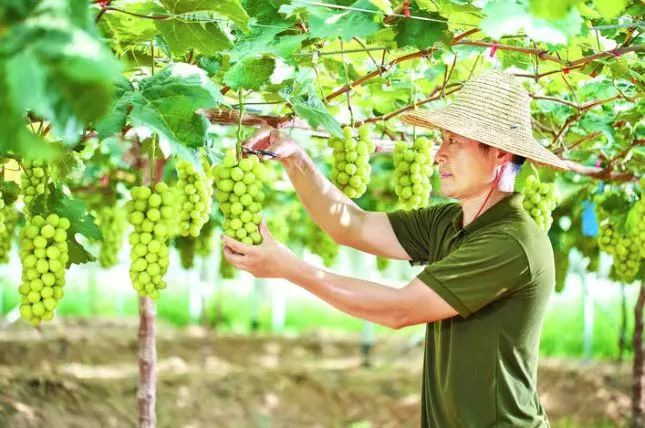 轉(zhuǎn)存圖片