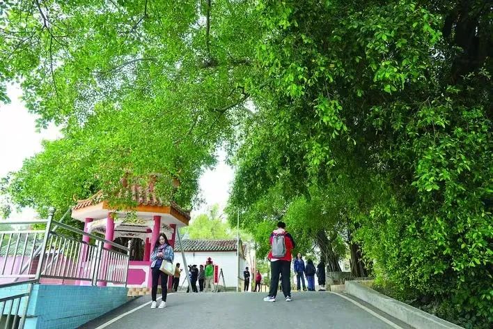 轉(zhuǎn)存圖片