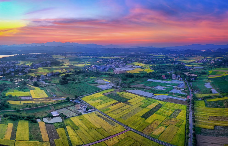 轉(zhuǎn)存圖片