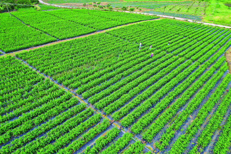 轉(zhuǎn)存圖片