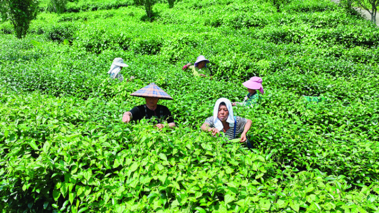 轉(zhuǎn)存圖片