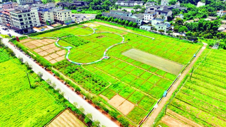 轉(zhuǎn)存圖片