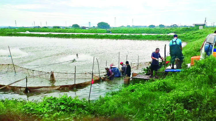 轉(zhuǎn)存圖片