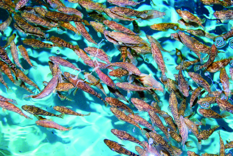 轉(zhuǎn)存圖片