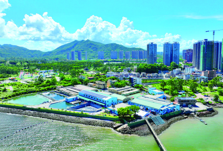 轉(zhuǎn)存圖片