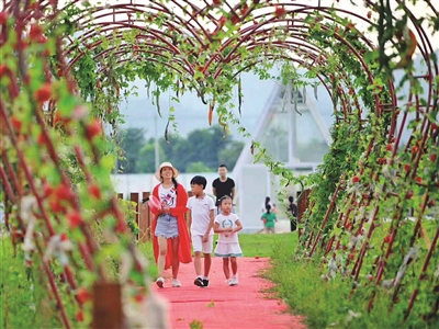 1545032484208051157.jpg A01b09C_30.jpg