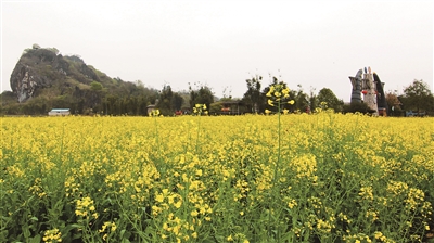 1551164062672068654.jpg A11b26C_10.jpg