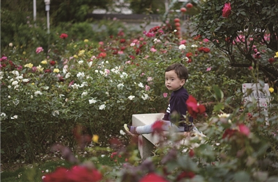 1551164084612098966.jpg A11b26C_12.jpg