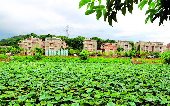 1564454097768024995.jpg q11.jpg